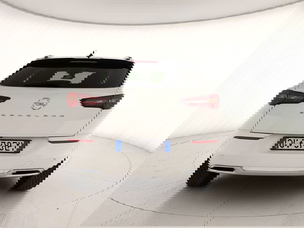 Opel Grandland usata a Caserta (5)