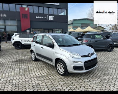 Fiat Panda 1.2 Easy del 2019 usata a Massarosa