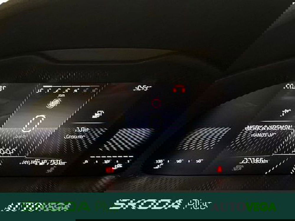 Skoda Kamiq usata a Vicenza (12)