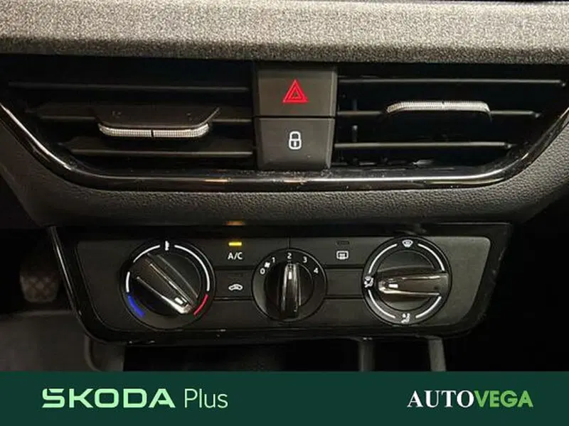 Skoda Kamiq usata a Vicenza (14)