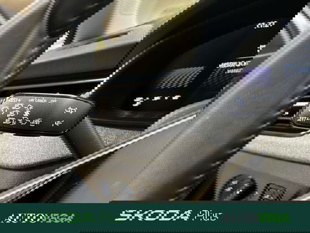 Skoda Kamiq usata a Vicenza (19)