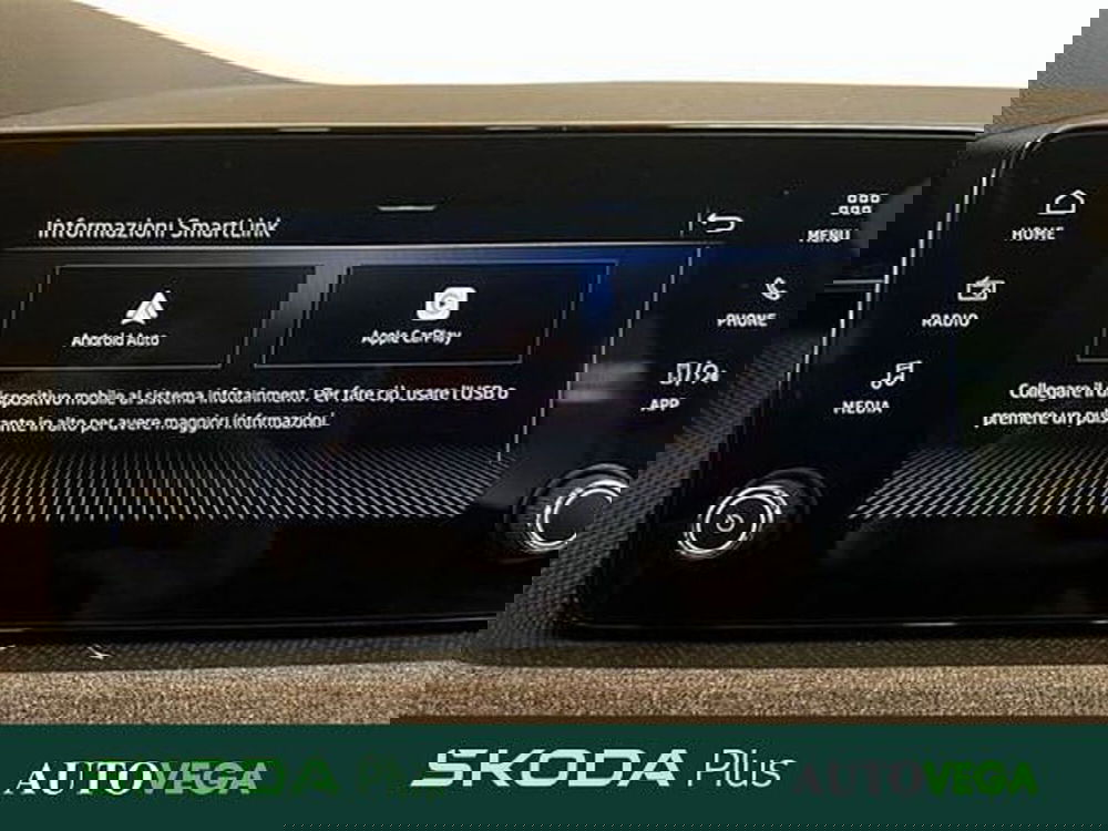 Skoda Kamiq usata a Vicenza (16)