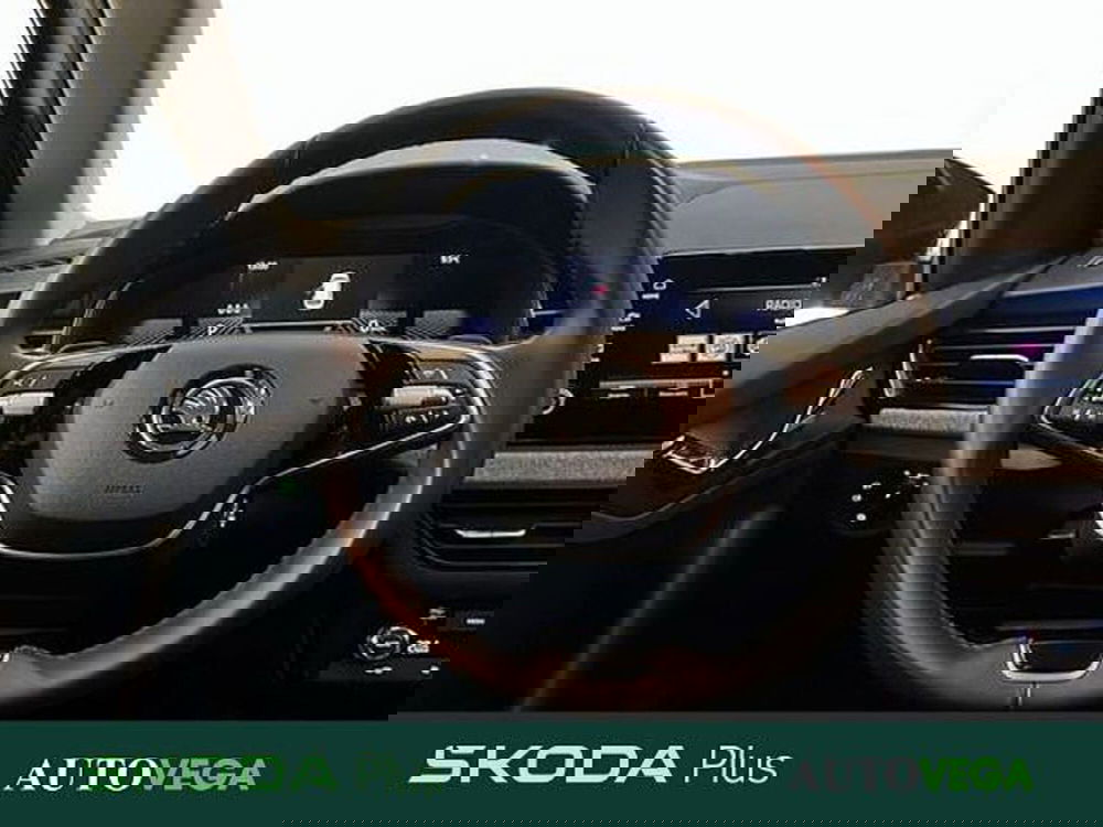 Skoda Kamiq usata a Vicenza (9)