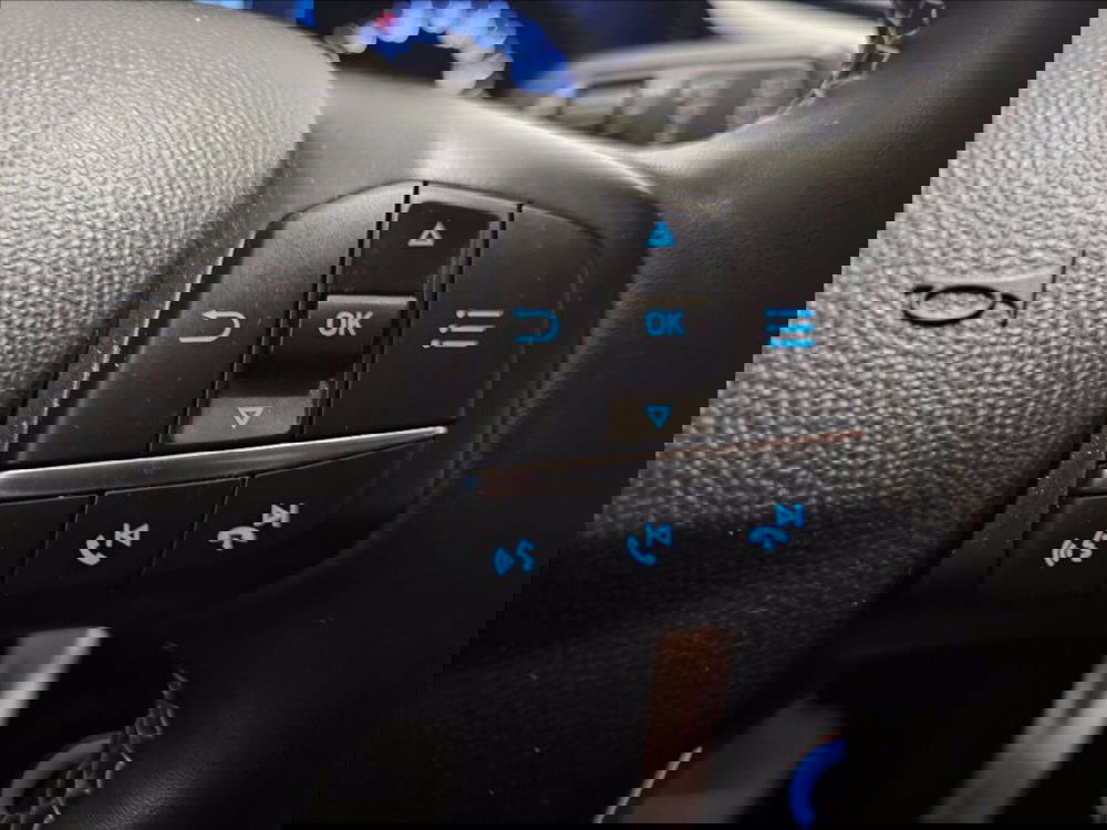 Ford Fiesta usata a Palermo (15)