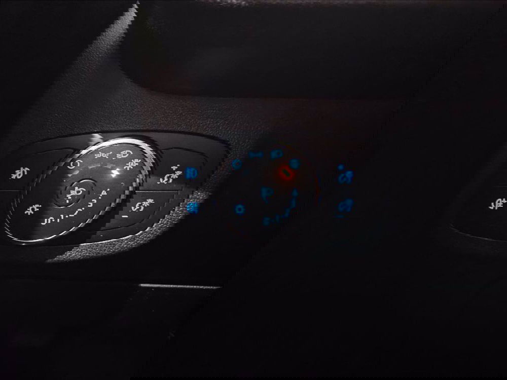 Ford Fiesta usata a Palermo (19)