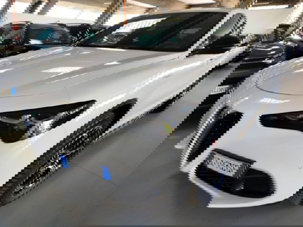 Alfa Romeo Stelvio usata a Forlì-Cesena (2)