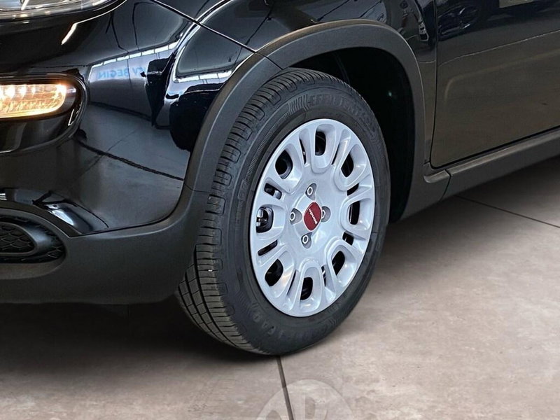 Fiat Panda Cross usata a Torino (15)