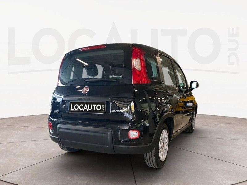 Fiat Panda Cross usata a Torino (4)