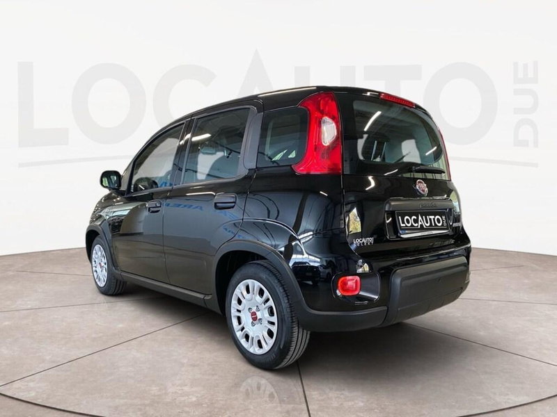 Fiat Panda Cross usata a Torino (5)