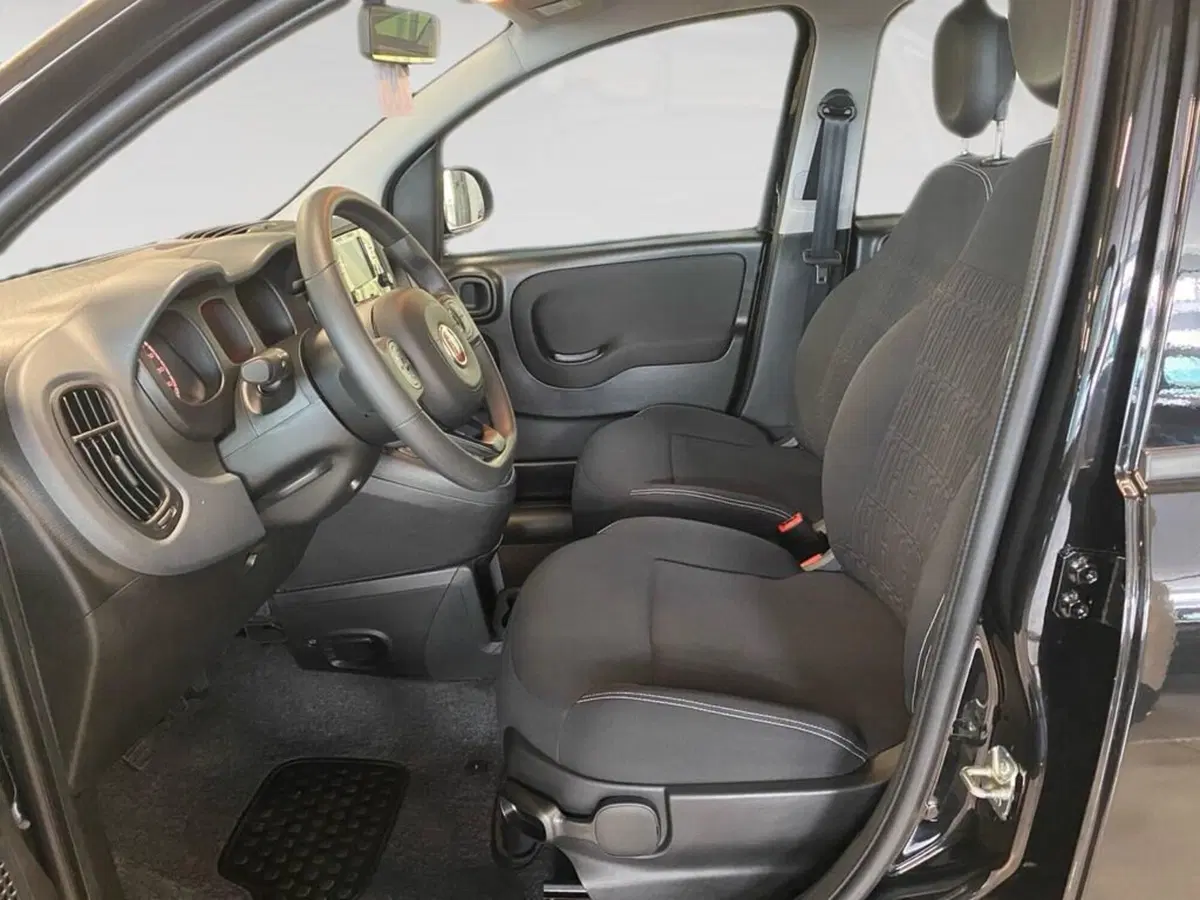 Fiat Panda Cross usata a Torino (7)