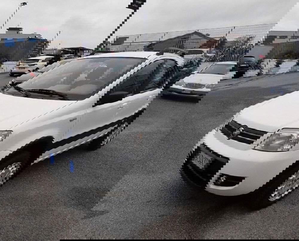 Fiat Panda usata a Cosenza