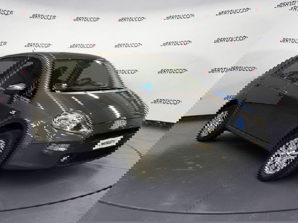 Fiat Punto usata a Verona