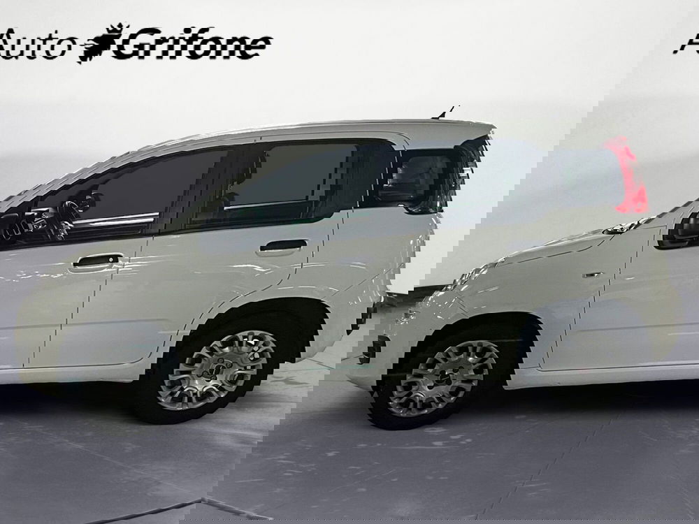 Fiat Panda Cross usata a Modena (2)