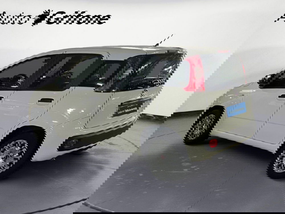 Fiat Panda Cross usata a Modena (3)