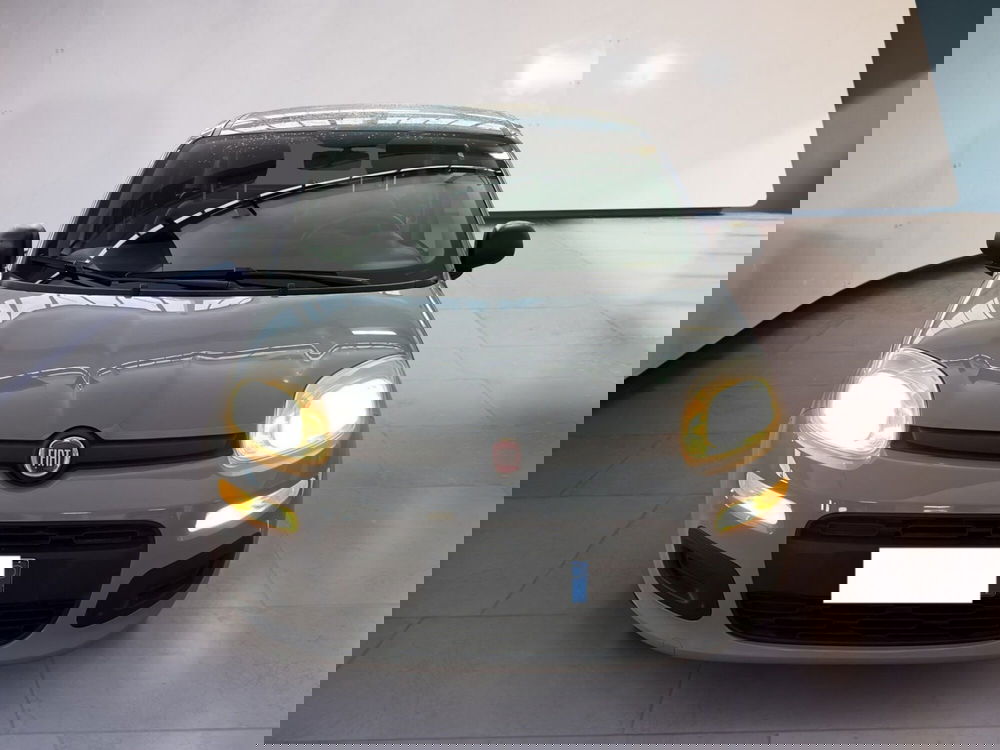 Fiat Panda usata a Torino