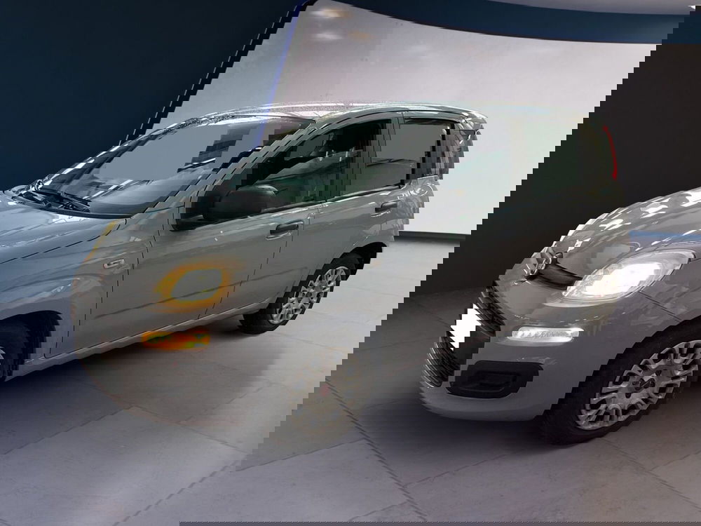 Fiat Panda usata a Torino (2)