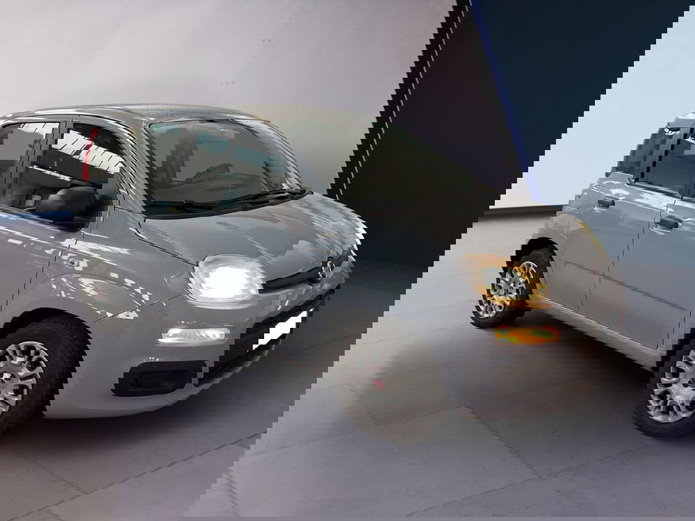 Fiat Panda usata a Torino (3)