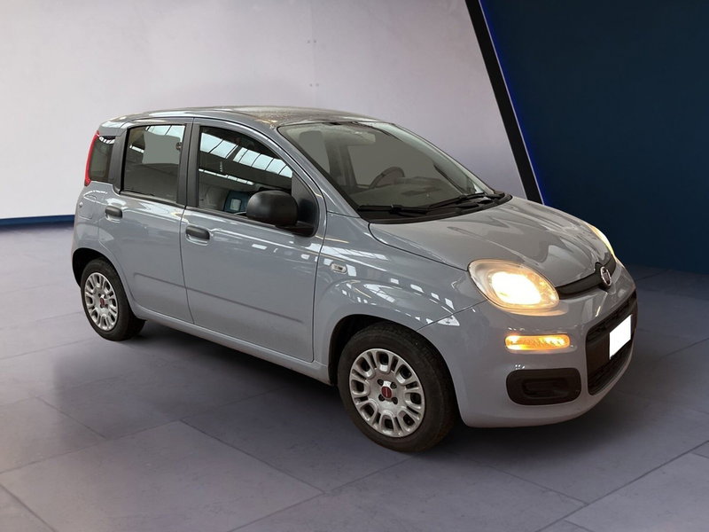 Fiat Panda usata a Torino (3)
