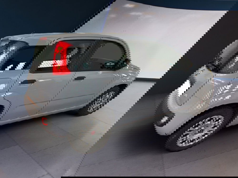 Fiat Panda usata a Torino (4)