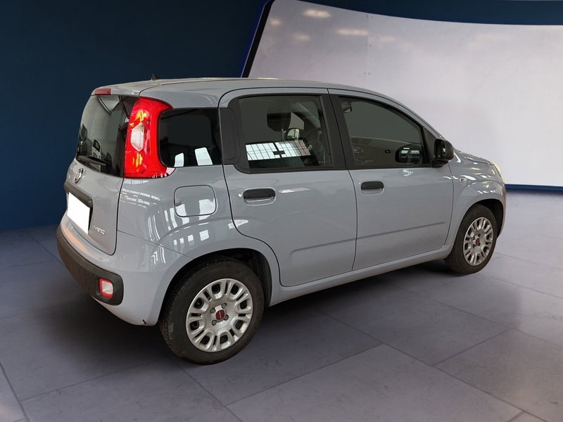 Fiat Panda usata a Torino (4)