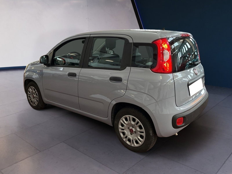 Fiat Panda usata a Torino (6)