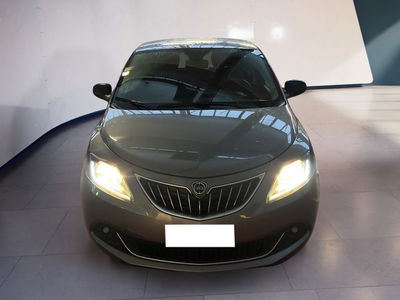 Lancia Ypsilon 1.2 69 CV 5 porte GPL Gold Plus del 2022 usata a Torino