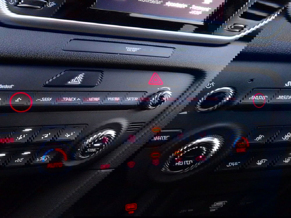 Kia Sportage usata a Treviso (19)