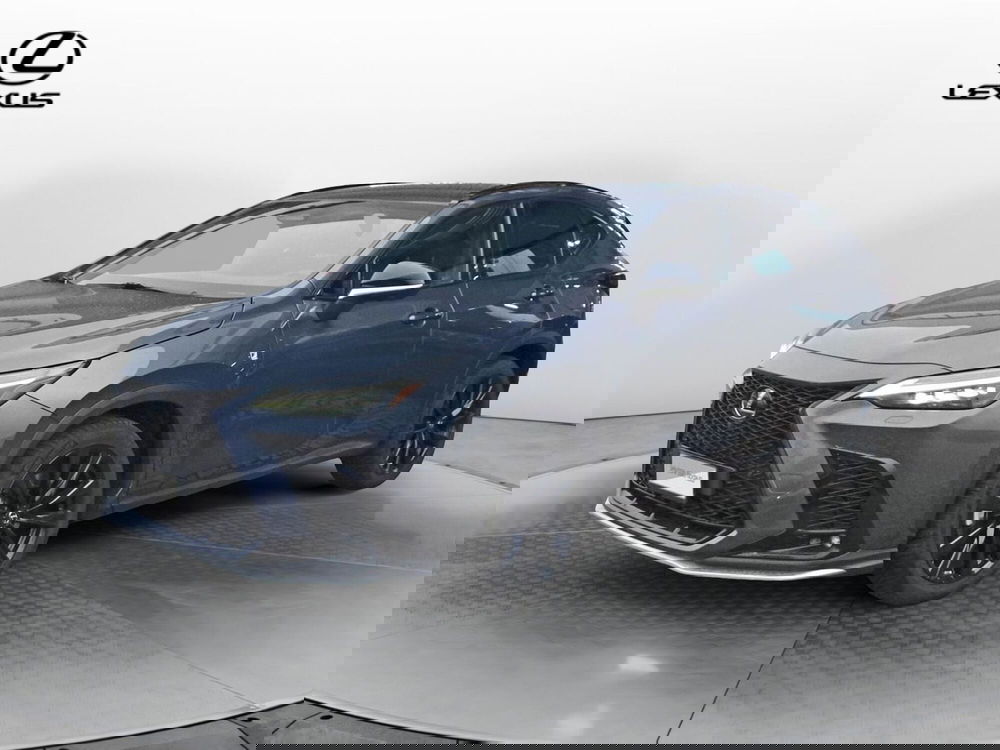 Lexus NX usata a Treviso