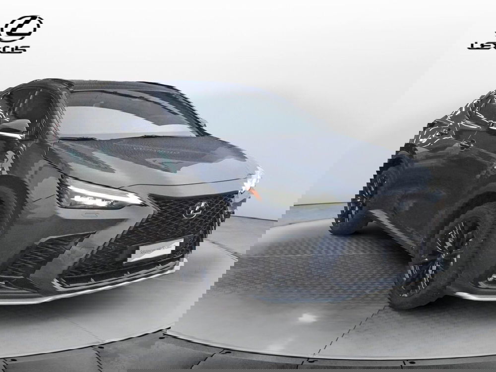 Lexus NX usata a Treviso (3)