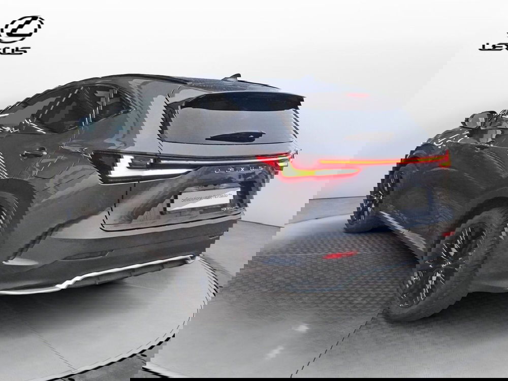 Lexus NX usata a Treviso (5)
