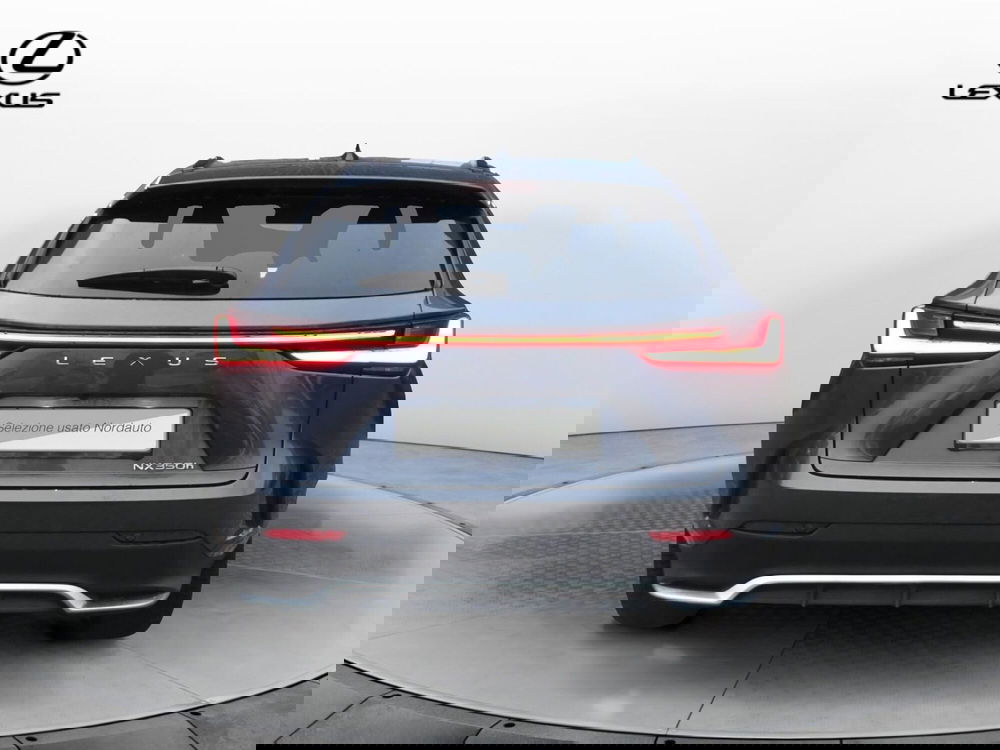 Lexus NX usata a Treviso (6)