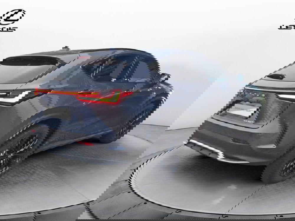 Lexus NX usata a Treviso (7)