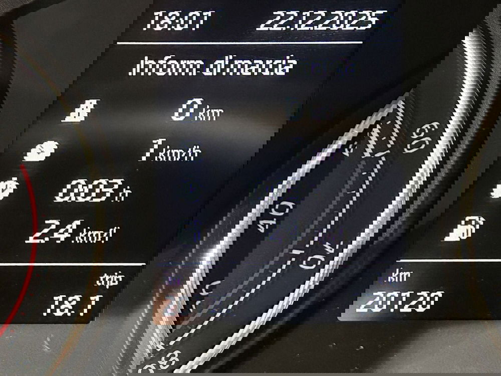 Skoda Kamiq usata a Milano (9)