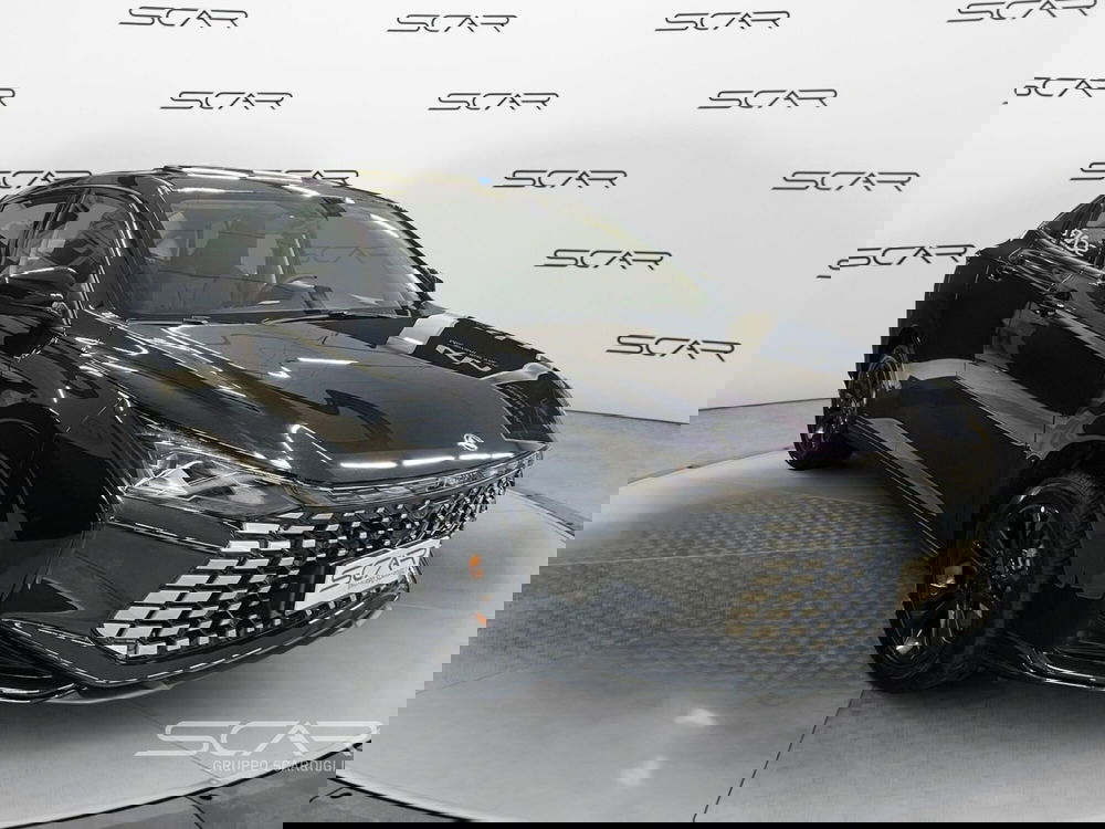 Dongfeng Shine nuova a Livorno (3)