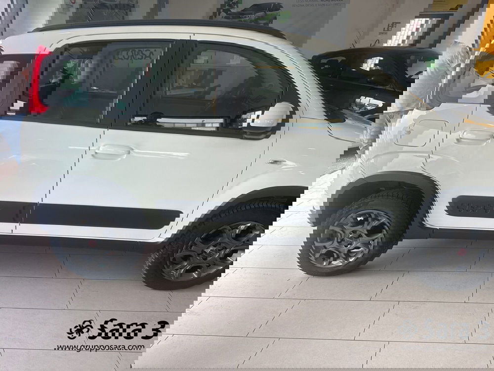 Fiat Panda usata a Benevento (2)