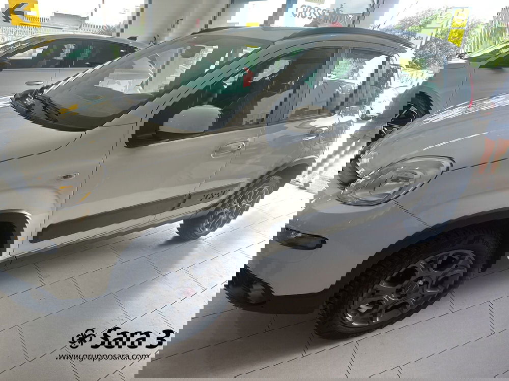 Fiat Panda usata a Benevento (5)