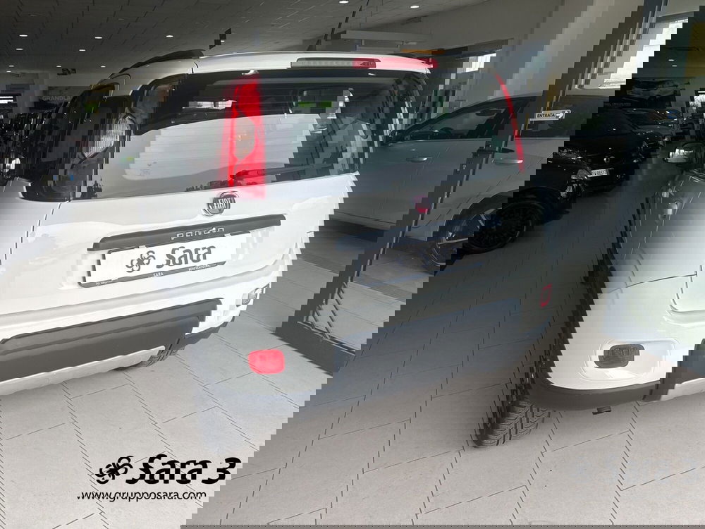 Fiat Panda usata a Benevento (6)