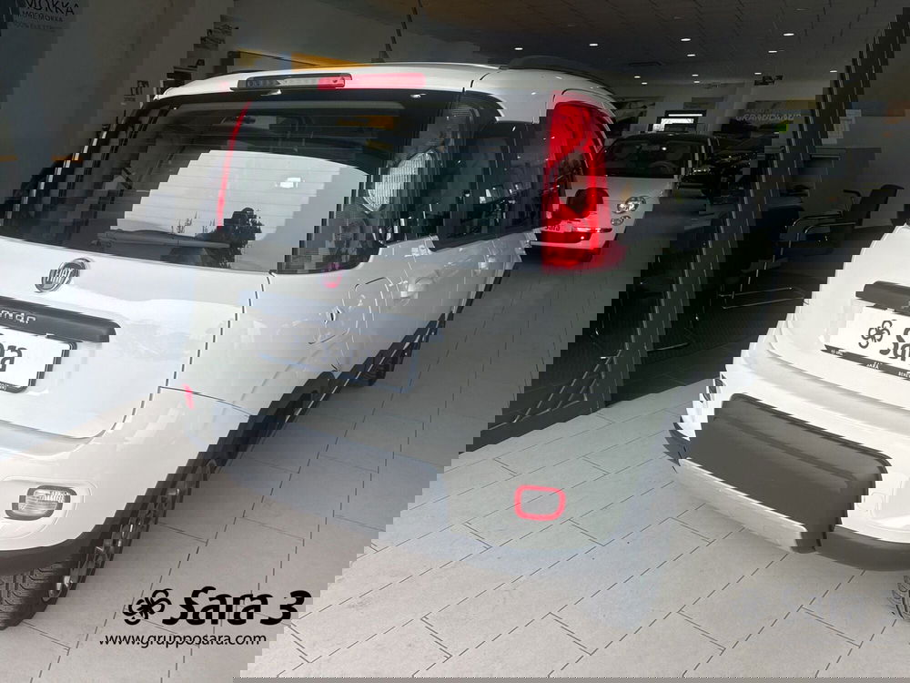 Fiat Panda usata a Benevento (7)