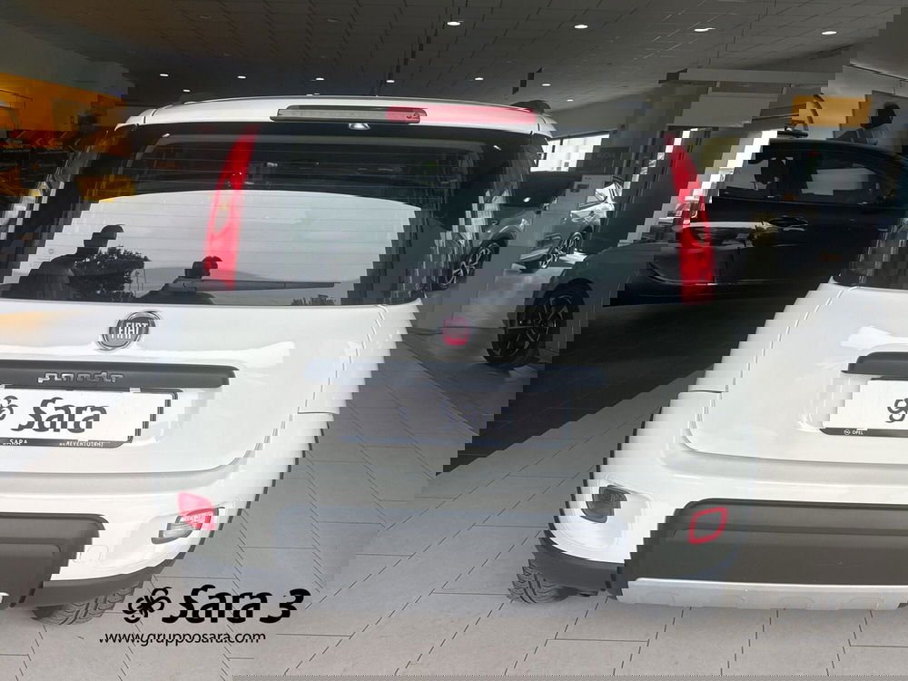 Fiat Panda usata a Benevento (8)