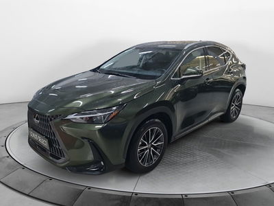 Lexus NX Plug-in 4WD Premium del 2022 usata a San Lazzaro di Savena