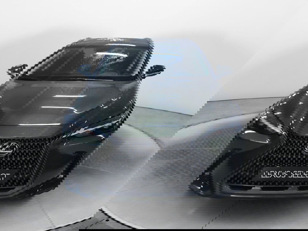 Lexus NX usata a Bologna (2)