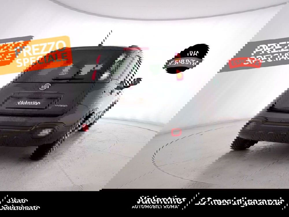 Fiat Panda Cross usata a Roma (3)