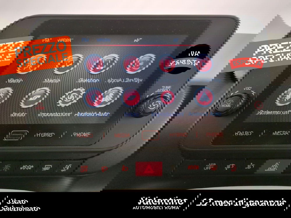 Fiat Panda Cross usata a Roma (18)