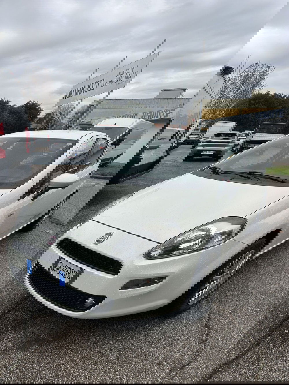 Fiat Punto usata a Prato