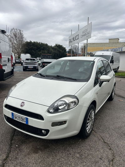 Fiat Punto 1.4 8V 3 porte Easypower Street del 2014 usata a Prato