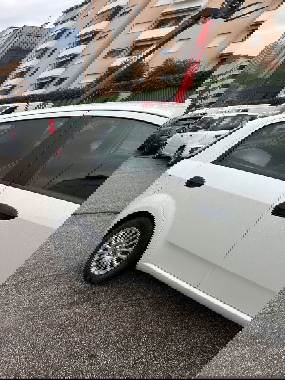 Fiat Punto usata a Prato (5)