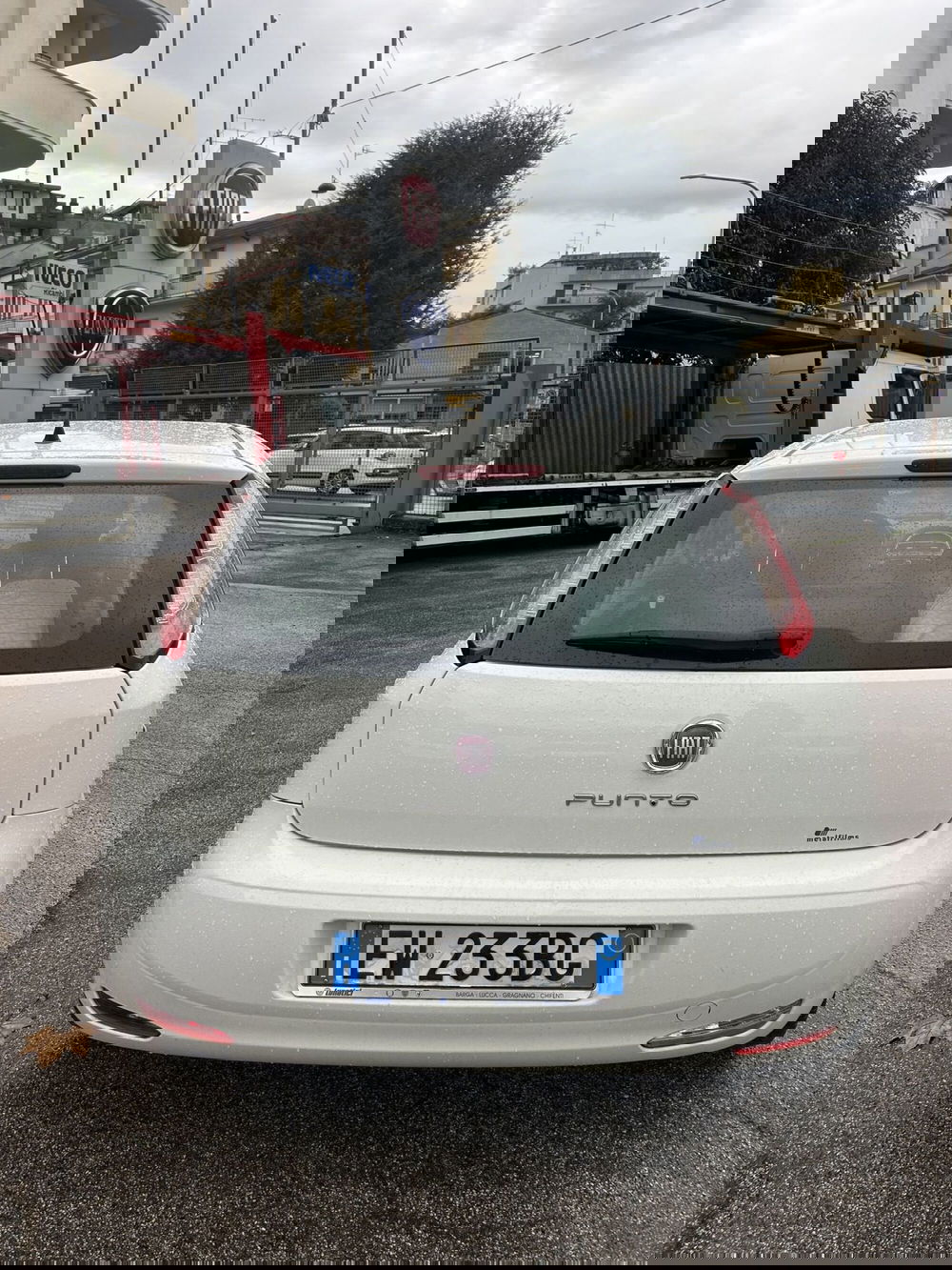 Fiat Punto usata a Prato (6)