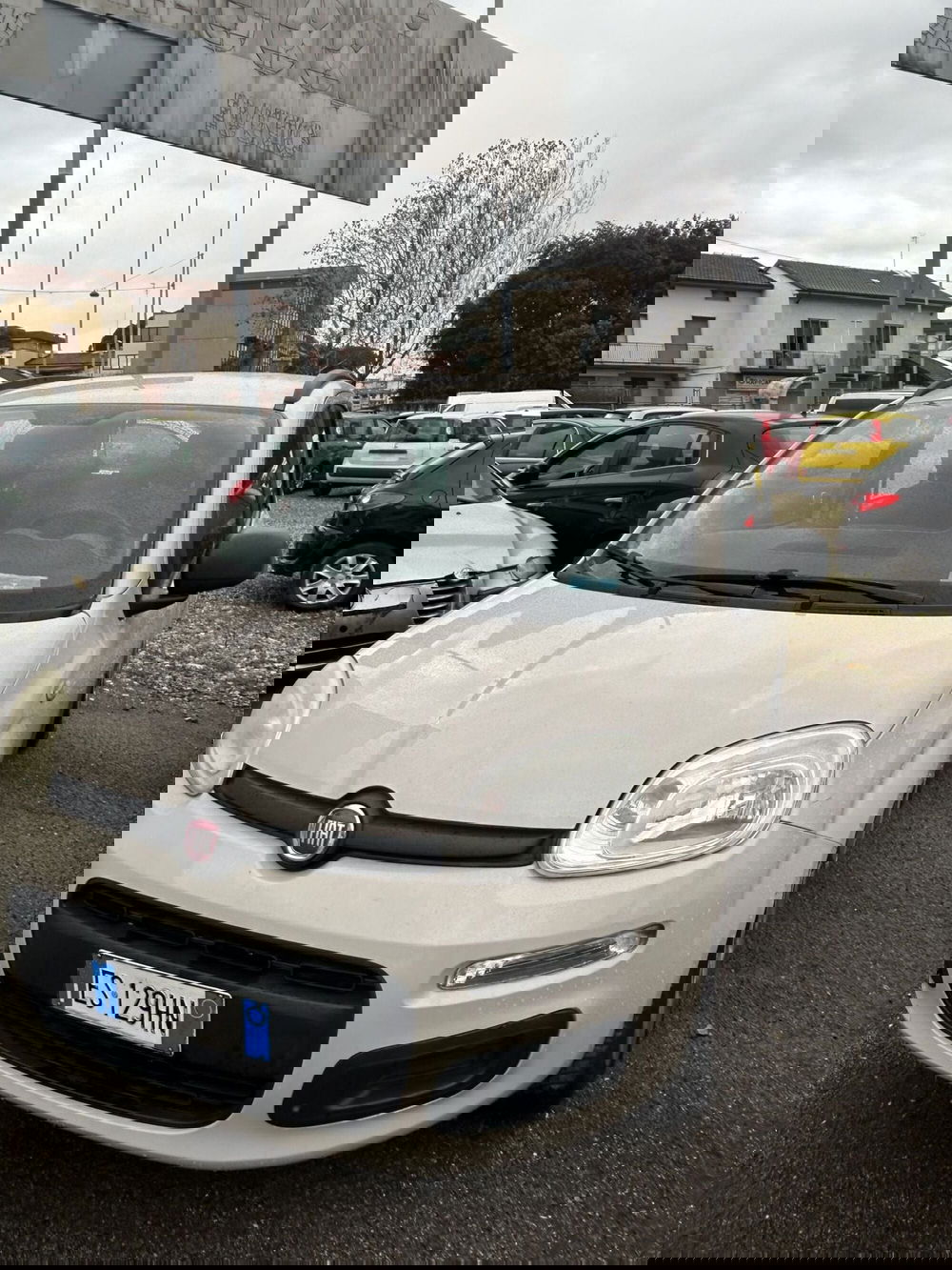 Fiat Panda usata a Prato