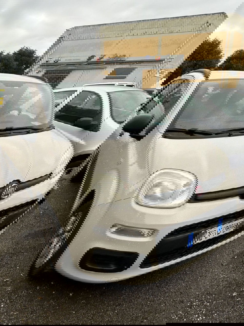 Fiat Panda usata a Prato (2)