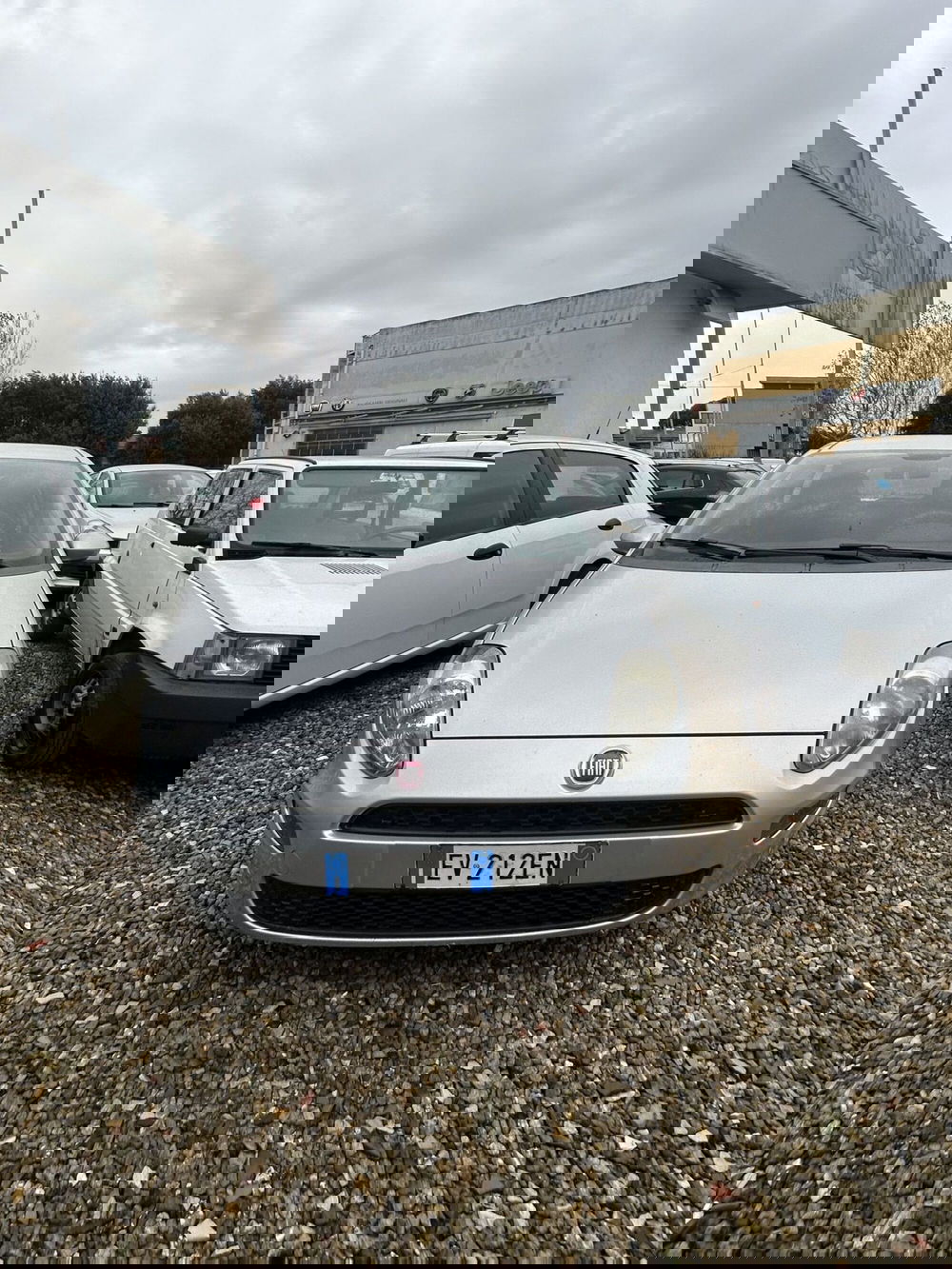 Fiat Punto usata a Prato (6)